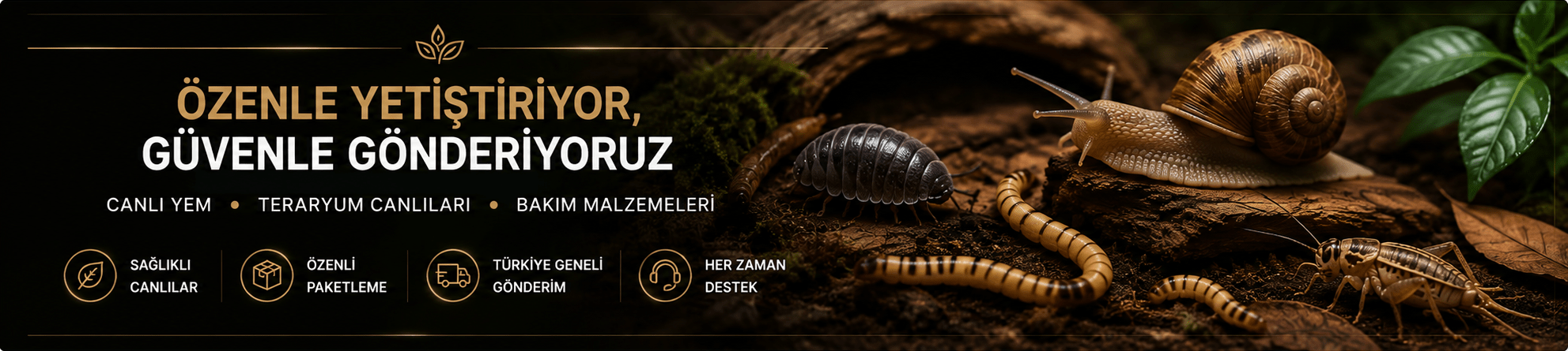 izmir canlı yem anasayfa